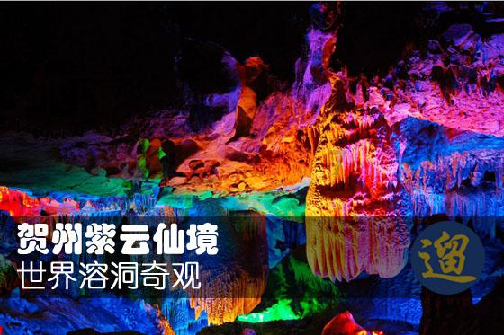 全民烧脑3去广告版