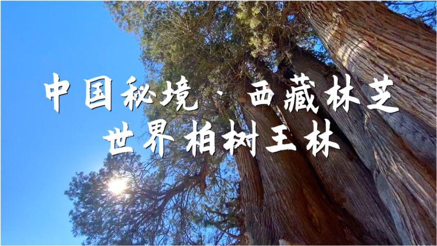 在北京读大学，要不要迁户口?游戏画面