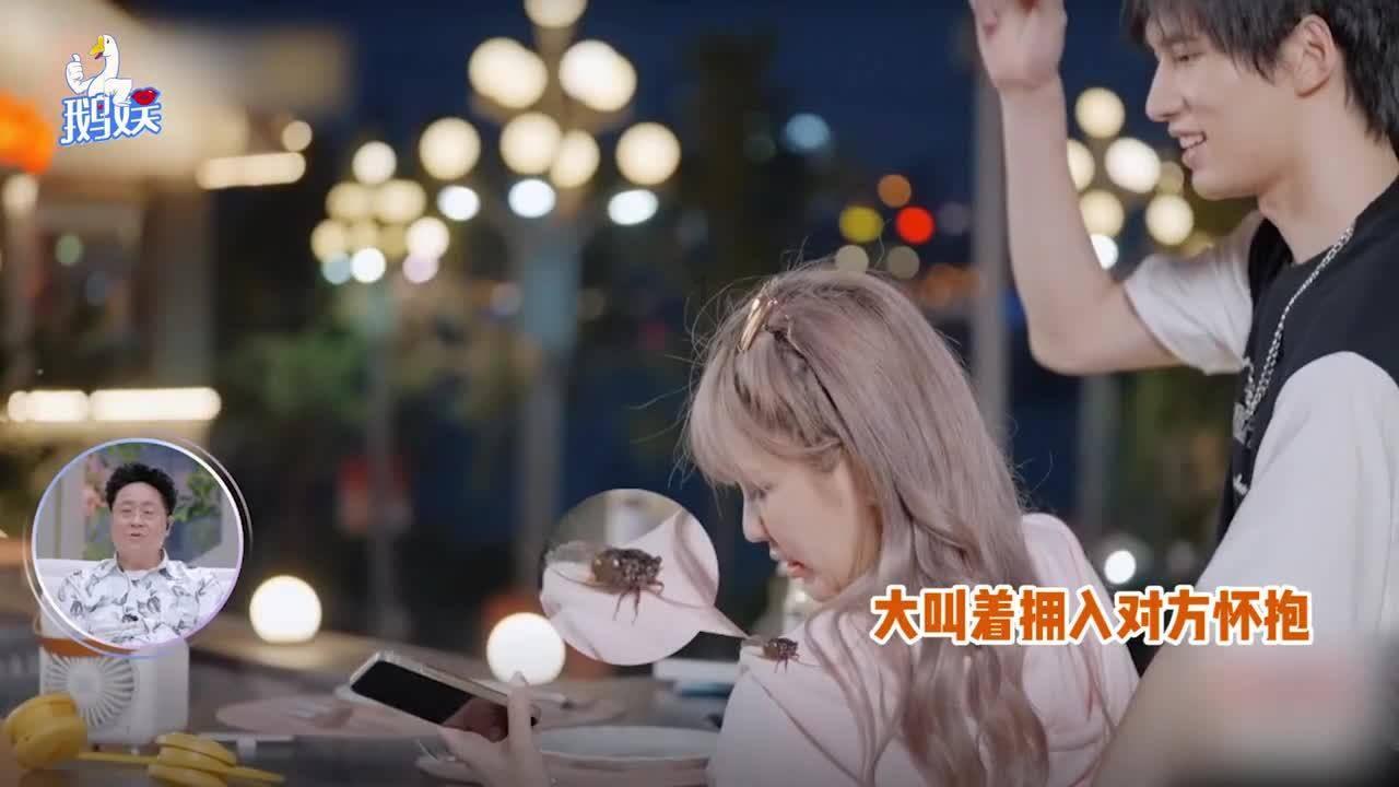自贡灯艺点亮成都公园 春节在家门口赏炫丽彩灯
