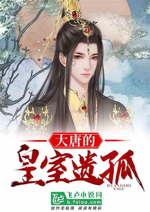 狗狗物品记忆卡