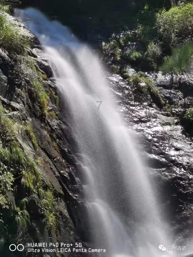 春雨直播app