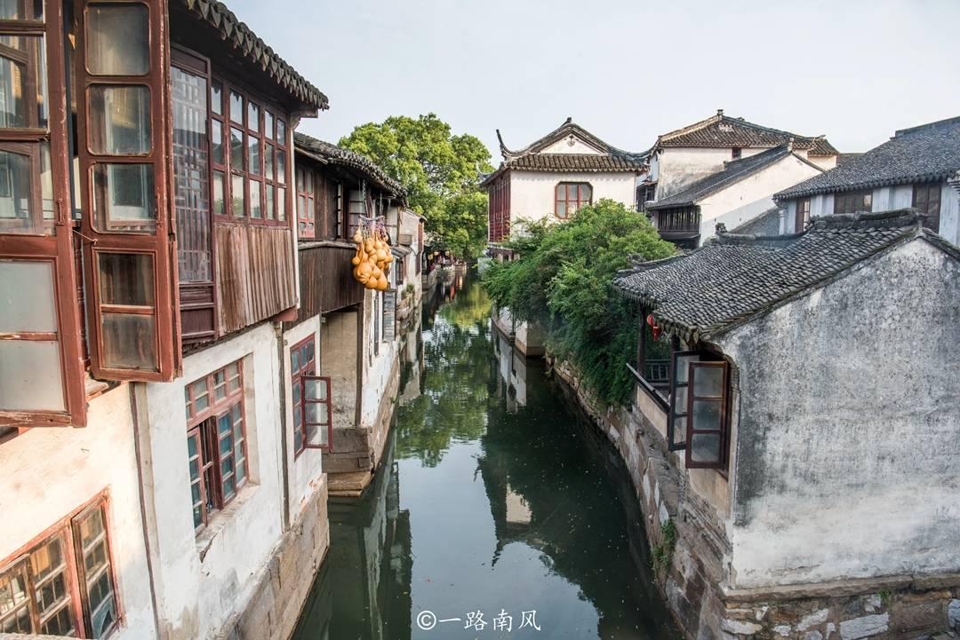 想养一只可爱的听话的小狗 选什么品种呢？