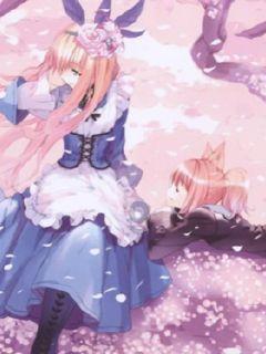 小猫钓鱼正版下载中文版
